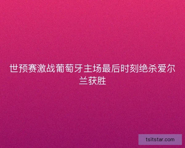世预赛激战葡萄牙主场最后时刻绝杀爱尔兰获胜