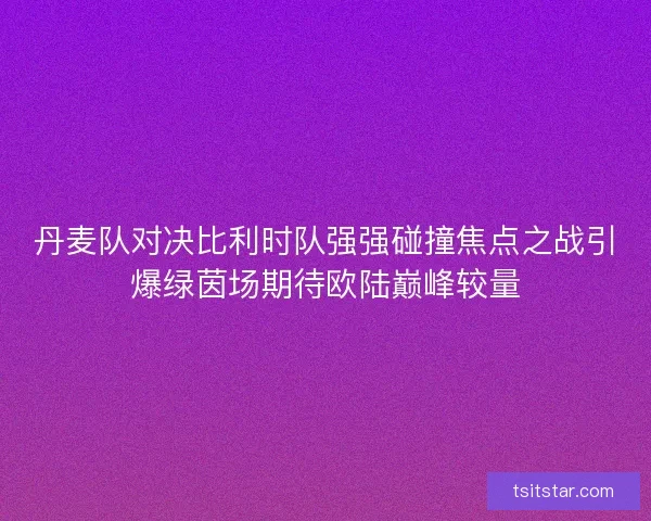 丹麦队对决比利时队强强碰撞焦点之战引爆绿茵场期待欧陆巅峰较量