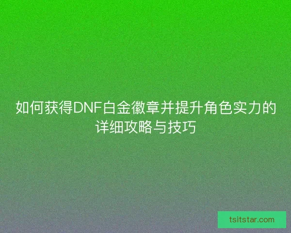 如何获得DNF白金徽章并提升角色实力的详细攻略与技巧