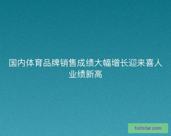 国内体育品牌销售成绩大幅增长迎来喜人业绩新高